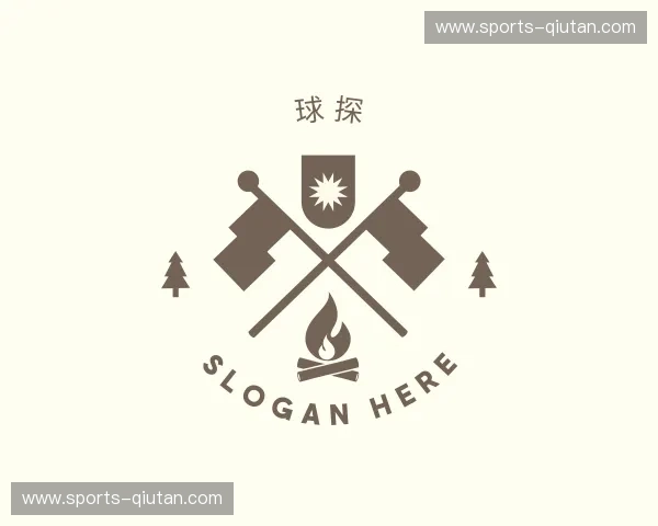 关于球探官方网站